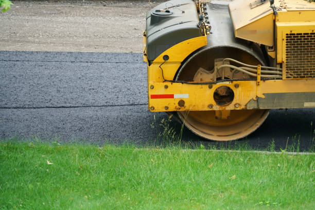 Best Professional Driveway Pavers  in Flora, AL